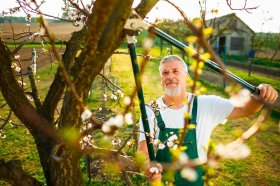 ATTREZZI - Agrimec di Simeoni Davide